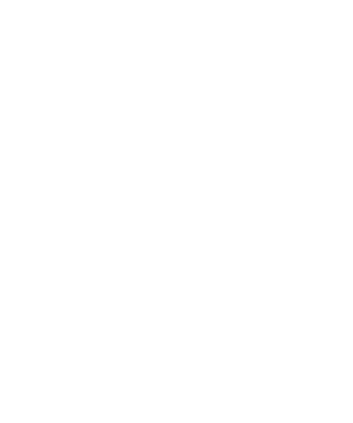 custom-orthotics-icon
